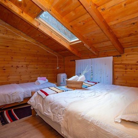 Bee Eco Guest House Moll' e Shoshit 외부 사진