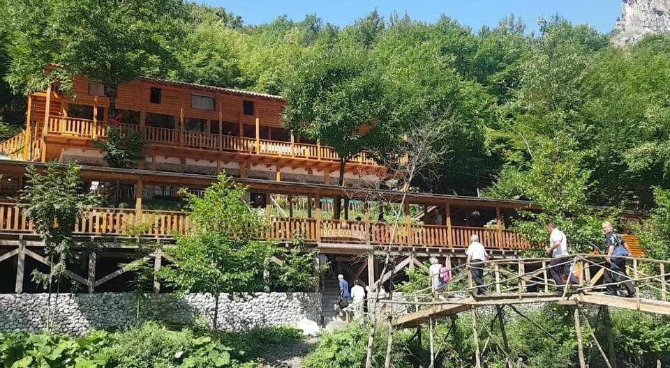 Bee Eco Guest House Moll' e Shoshit 외부 사진
