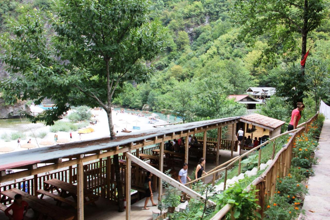 Bee Eco Guest House Moll' e Shoshit 외부 사진