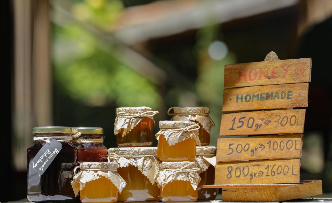 Bee Eco Guest House Moll' e Shoshit 외부 사진