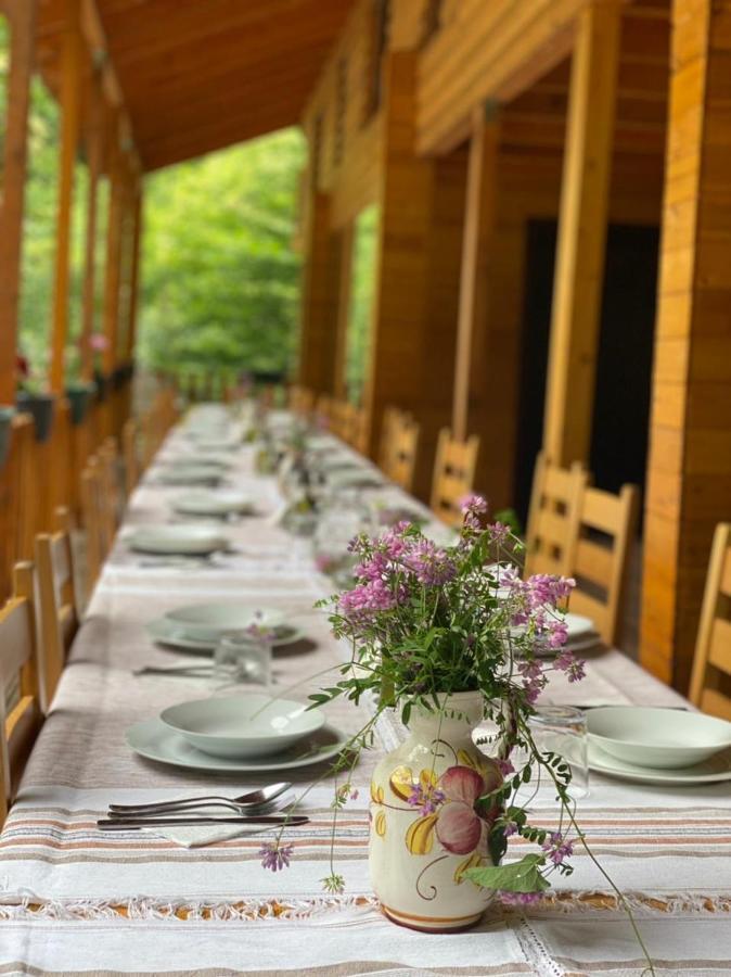 Bee Eco Guest House Moll' e Shoshit 외부 사진