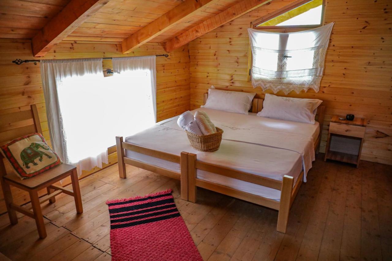 Bee Eco Guest House Moll' e Shoshit 외부 사진