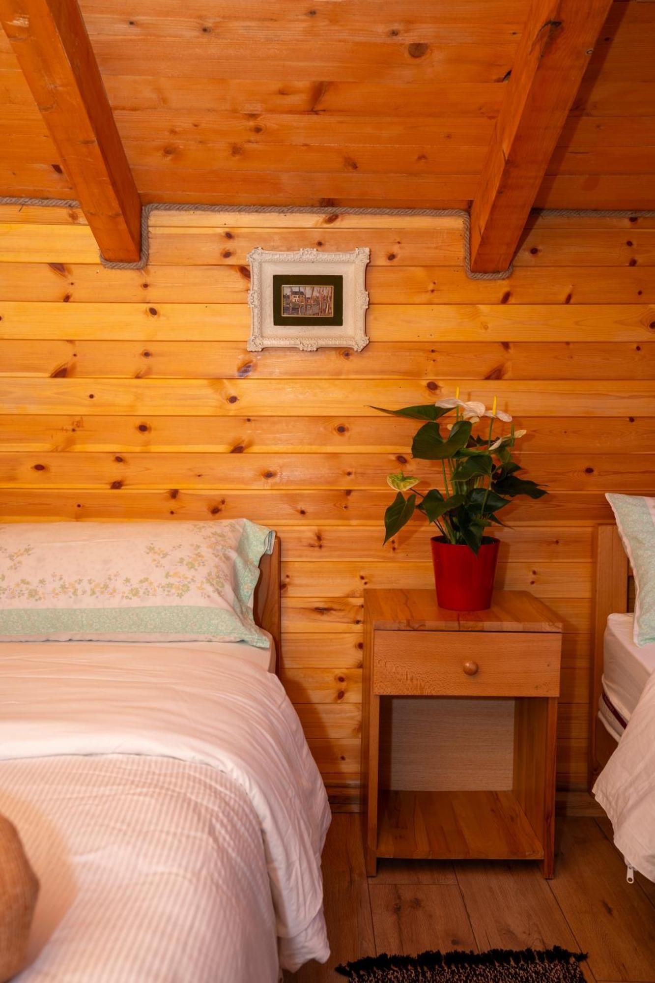 Bee Eco Guest House Moll' e Shoshit 외부 사진