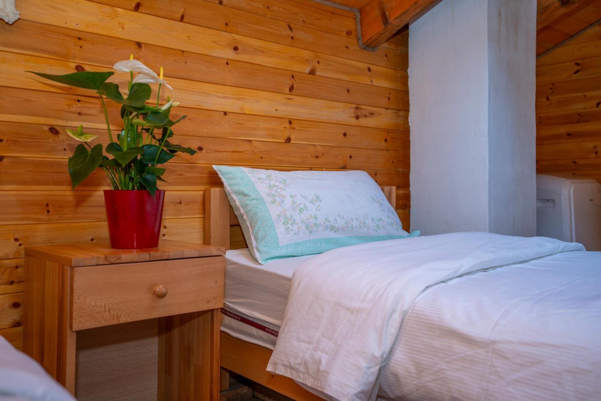 Bee Eco Guest House Moll' e Shoshit 외부 사진